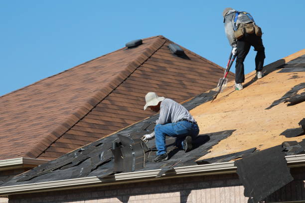 Best Emergency Roof Repair Services  in Roundup, MT